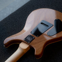 PRS CE24, Eriza Verde