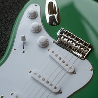 PRS SE Silver Sky, Evergreen