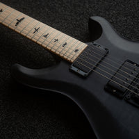 PRS Dustie Waring CE24, Custom Color