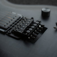 PRS Dustie Waring CE24, Custom Color