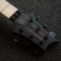 PRS Dustie Waring CE24, Custom Color