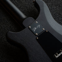 PRS Dustie Waring CE24, Custom Color