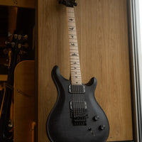 PRS Dustie Waring CE24, Custom Color