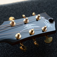 Maton Messiah EM100 808