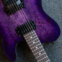 Schecter PT Standard, Purple Burst Burl