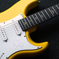 PRS SE Silver Sky, Dandy Lion