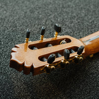 Manuel Rodriguez Magistral D-C