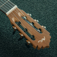 Manuel Rodriguez Ecologia E-65