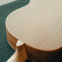 Manuel Rodriguez Ecologia E-65