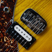 G&L Builder's Choice Fallout, Honeyburst