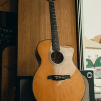 PRS SE A50E, Black Gold