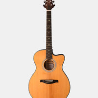 PRS SE A50E, Black Gold