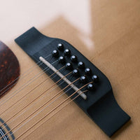 Sigma DM12-1, 12-string