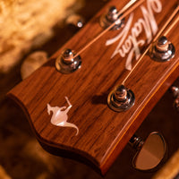 Maton EBG808TE Tommy Emmanuel