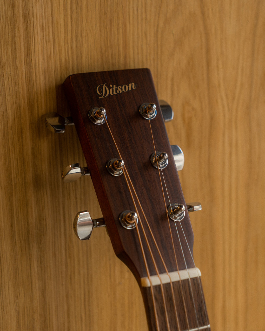 Ditson Ditson G-10 – Acoustic Union