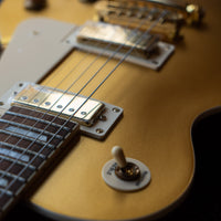 Vintage V100M Reissued, Gold Top