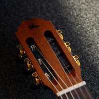 Manuel Rodriguez Caballero Principio CA-PM SB