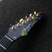 Enya Inspire Igor Paspalj Signature