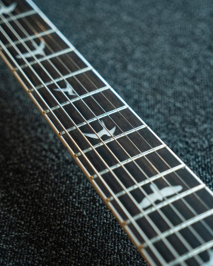 PRS SE Mark Holcomb SVN, Blue Holcomb Burst