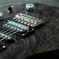 PRS SE Swamp Ash Special, Charcoal