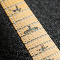 PRS SE Swamp Ash Special, Charcoal