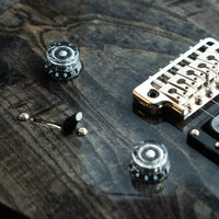 PRS SE Swamp Ash Special, Charcoal