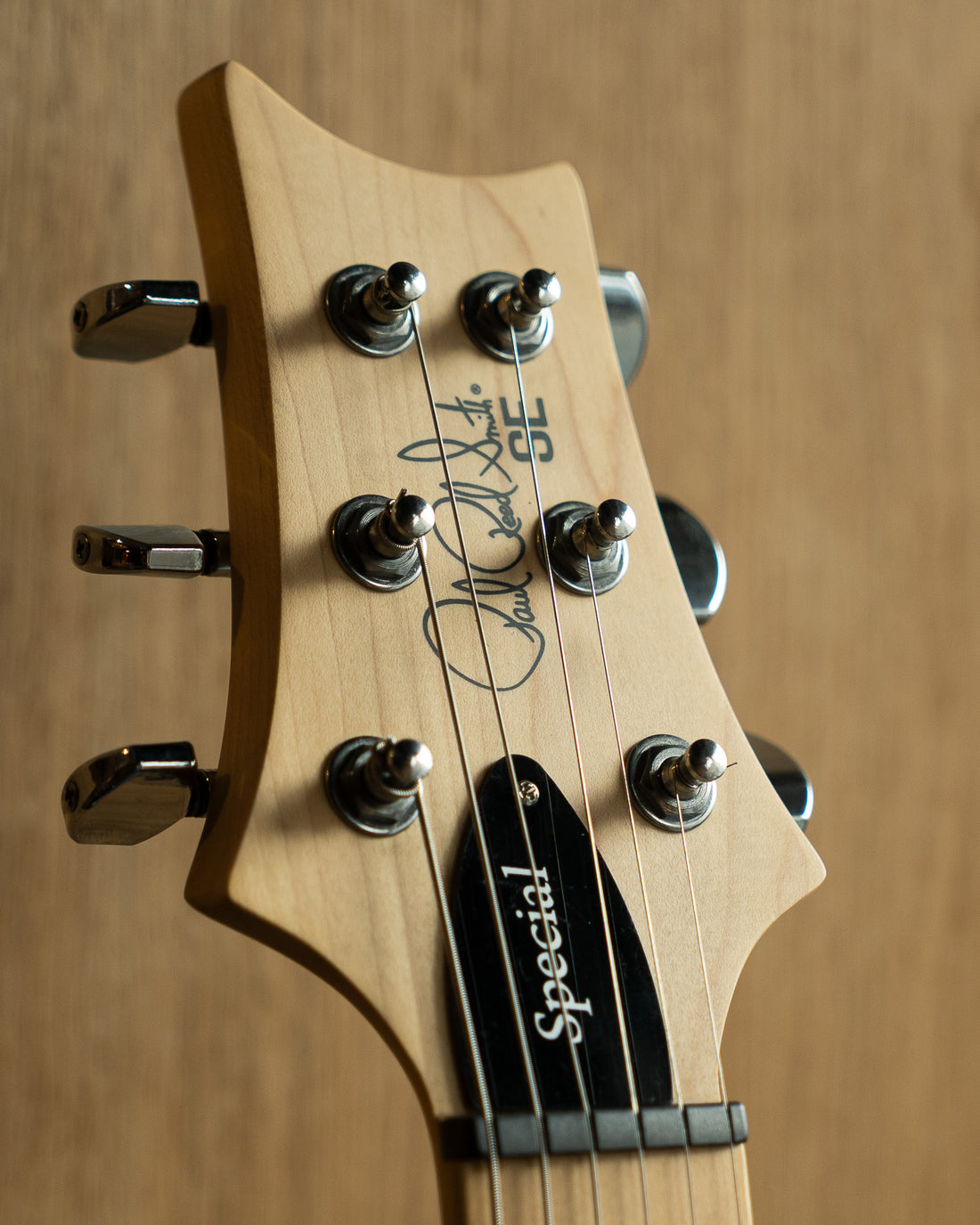 PRS SE Swamp Ash Special, Charcoal