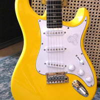 PRS SE Silver Sky, Dandy Lion