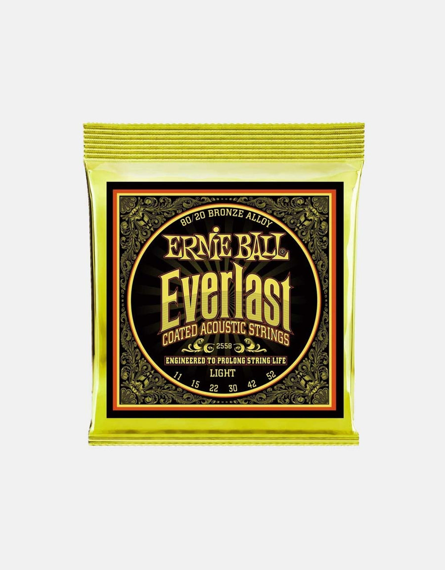 Ernie Ball Everlast 80/20 Light (11-52)