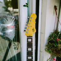 G&L Tribute Doheny Shell Pink RW